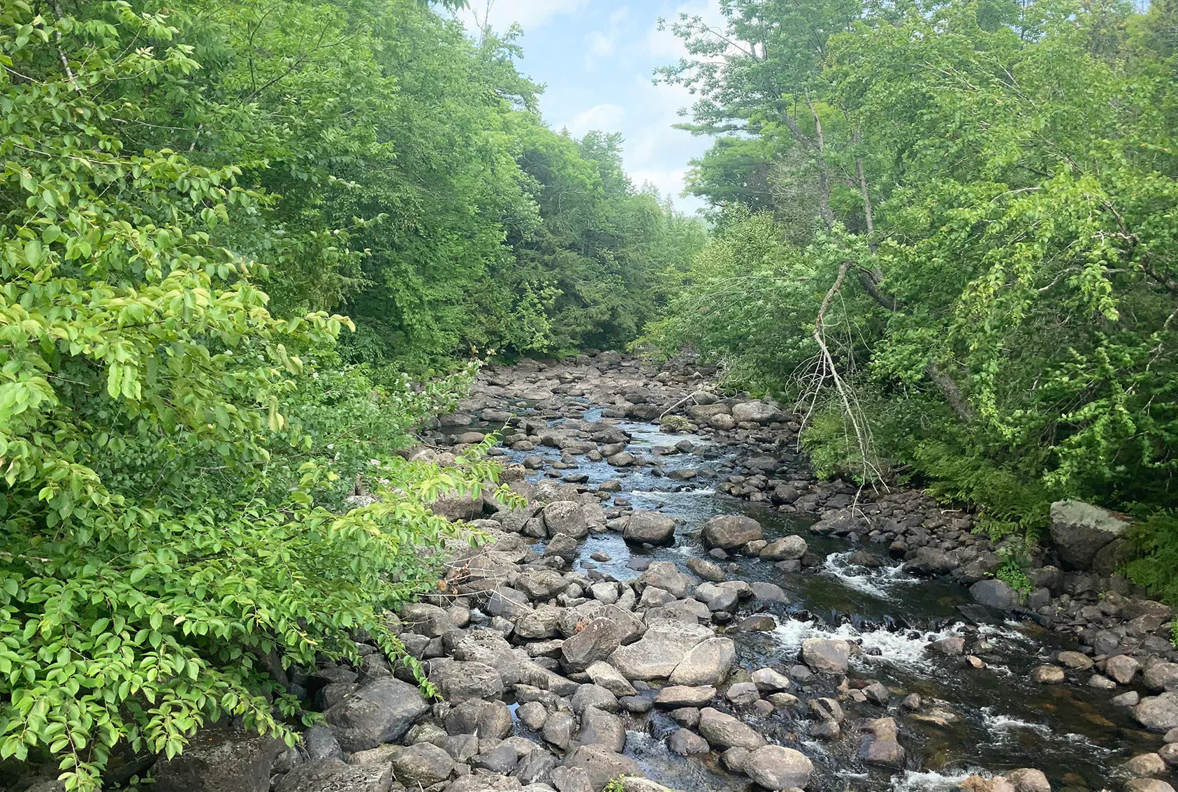ONE HUNDRED DIVIDED BY EIGHT: DEEDRA ZEEH IN THE APPALACHIAN TRAIL'S 100-MILE WILDERNESS