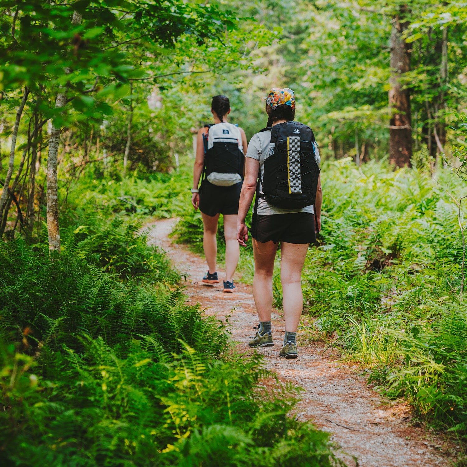 Two hikers with Daybreak 22 backpacks walking on a trail through a lush green forest.