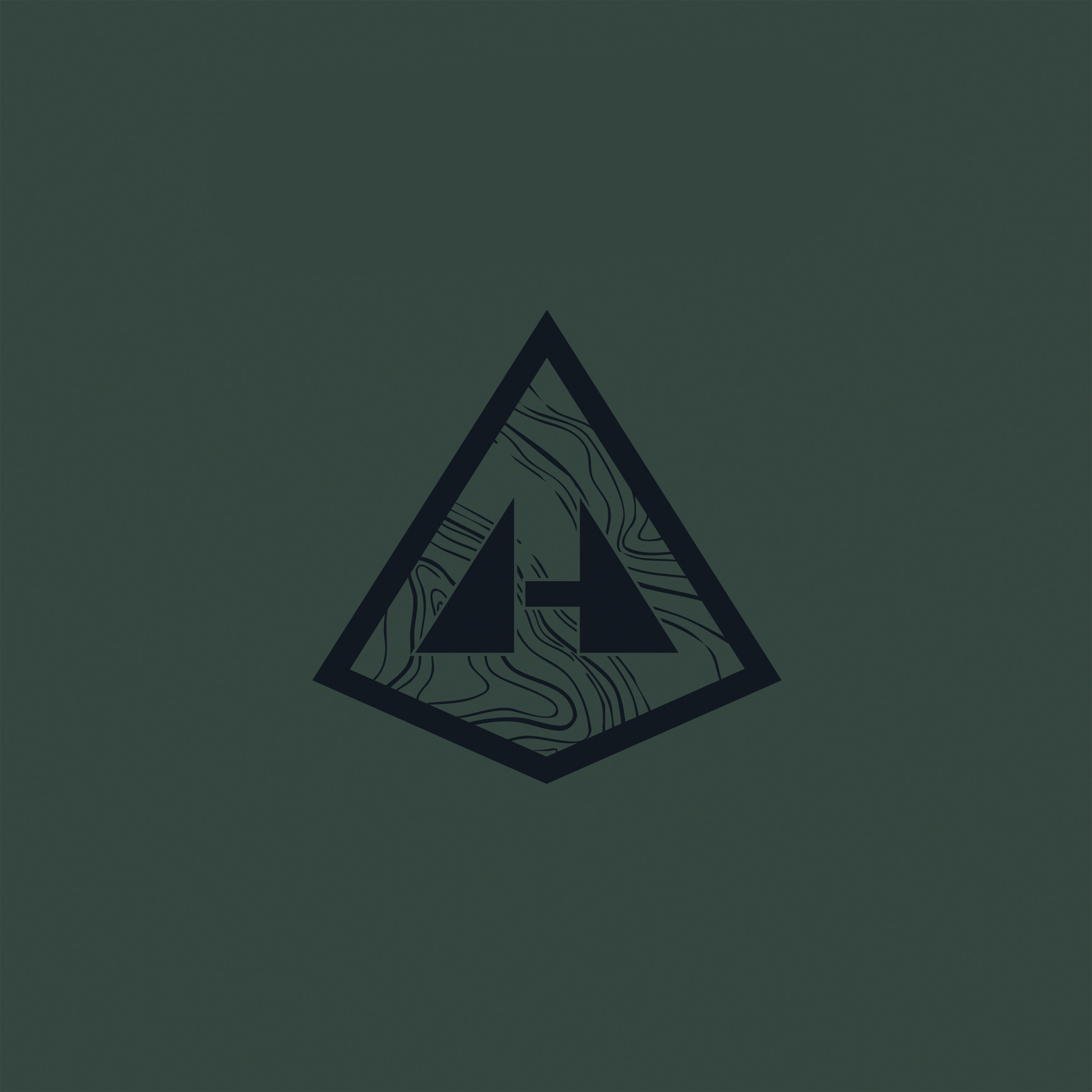 Topo Logo Hoodie