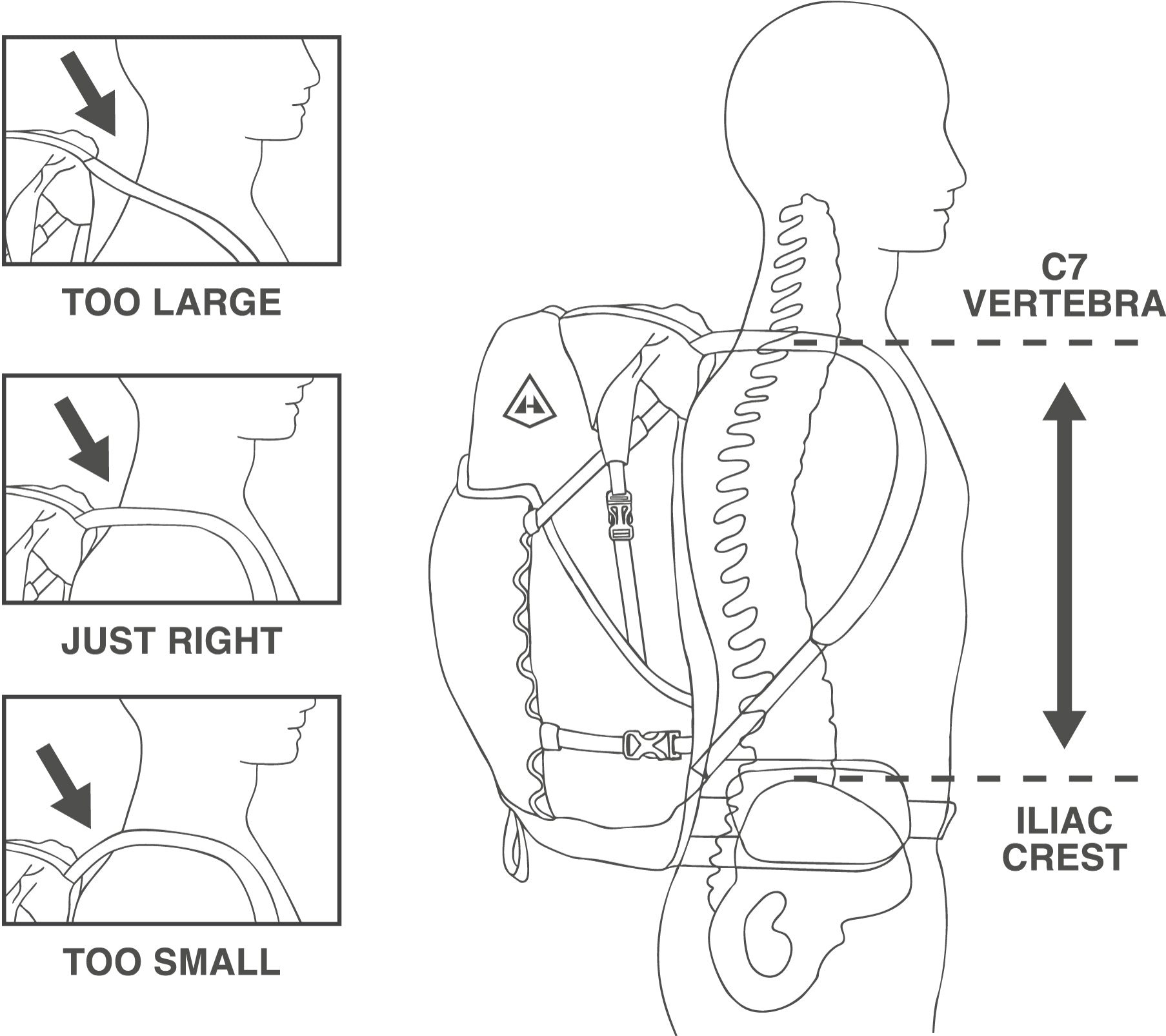 Diagram showing correct backpack fit on a person with labeled spine and iliac crest.