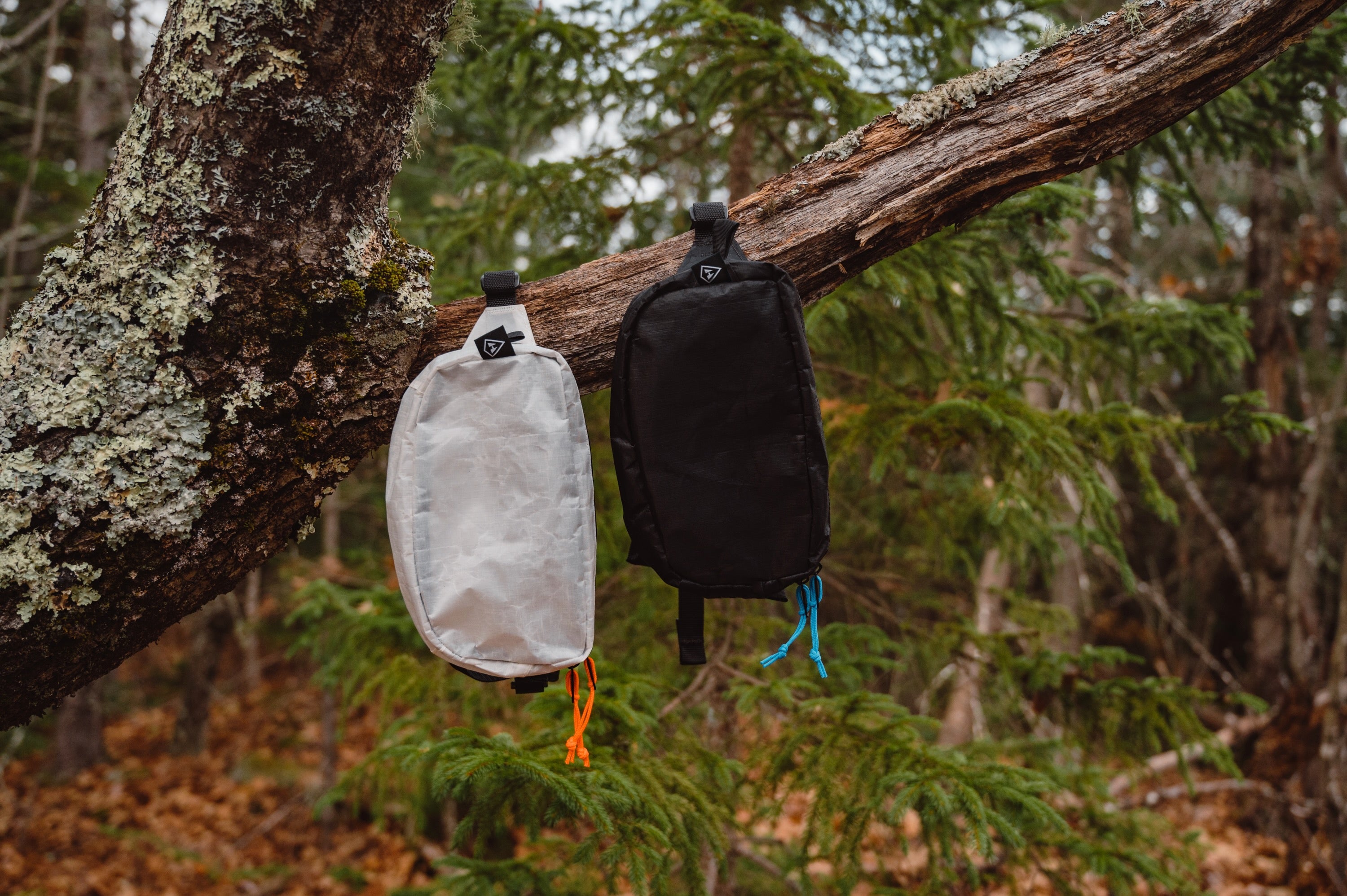 Two bags hanging from a tree in the woods.