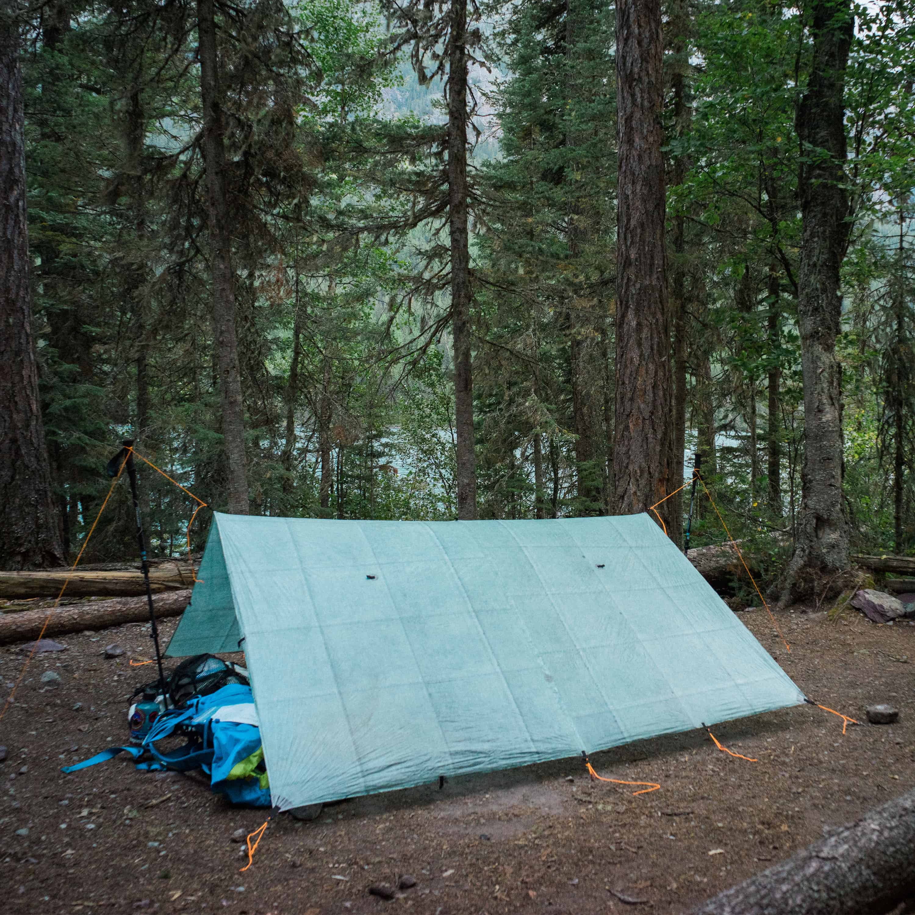 Hyperlite Mountain Gear's Flat Tarp in Spruce Green setup in the woods
