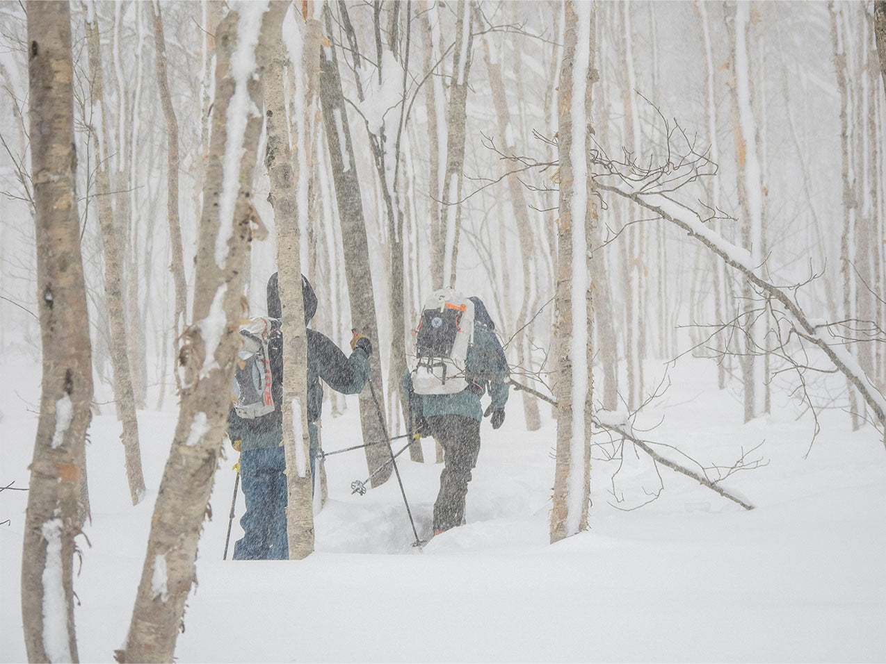 adventurers skiing through a snowstorm in a forest