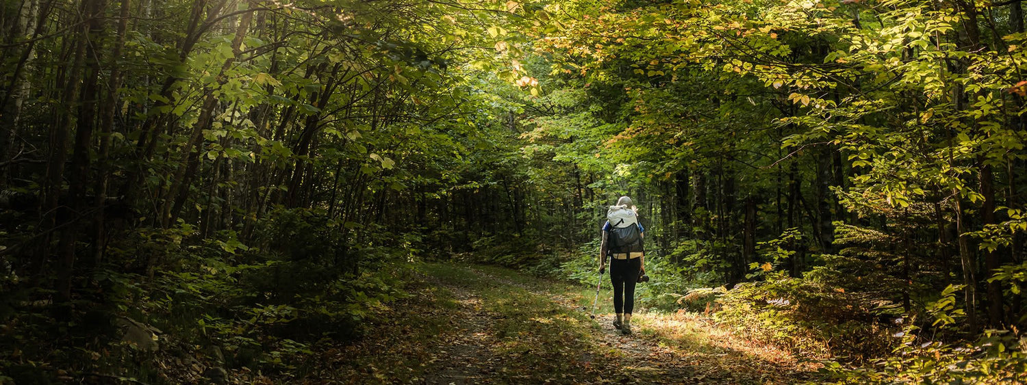 Monumental: A Journey Through Katahdin Woods & Waters