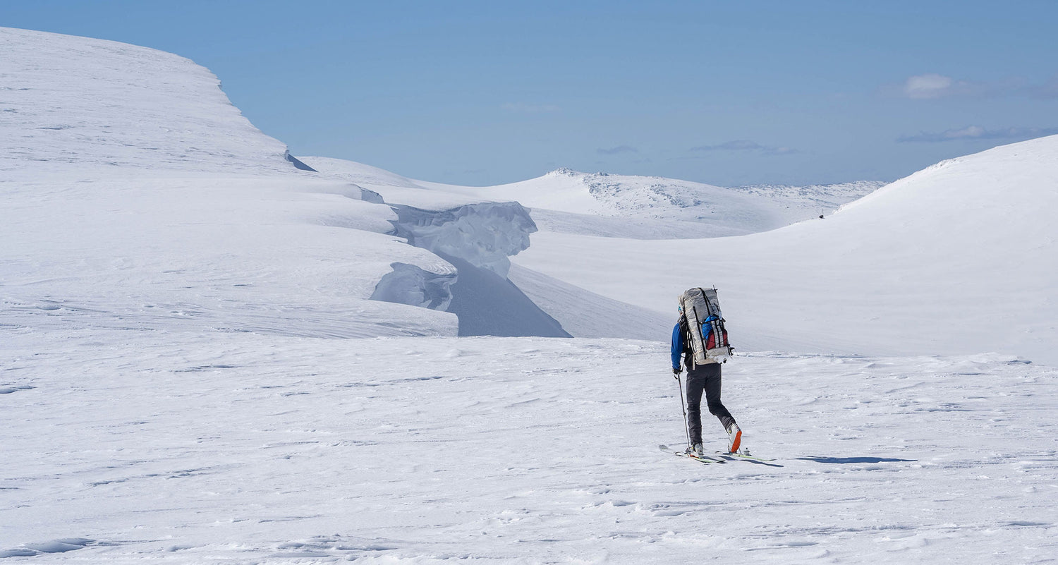 Digging For Dinner on the Australian Alps Walking Track