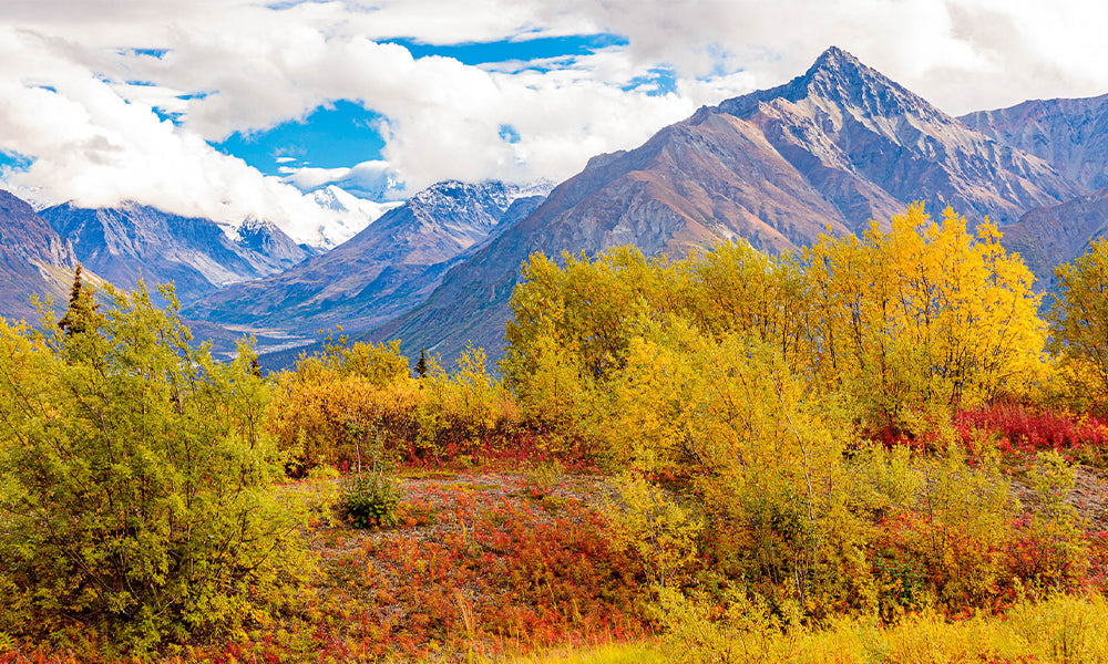 Capturing that Crisp Autumn Light: Tips For Fall Photography