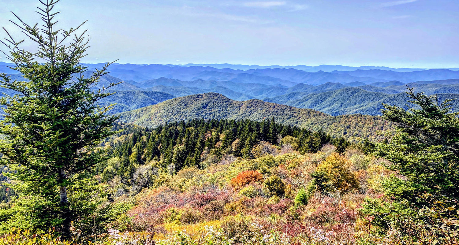 Make Way While the Sun's Shining - A Selection of Favorite Day Hikes