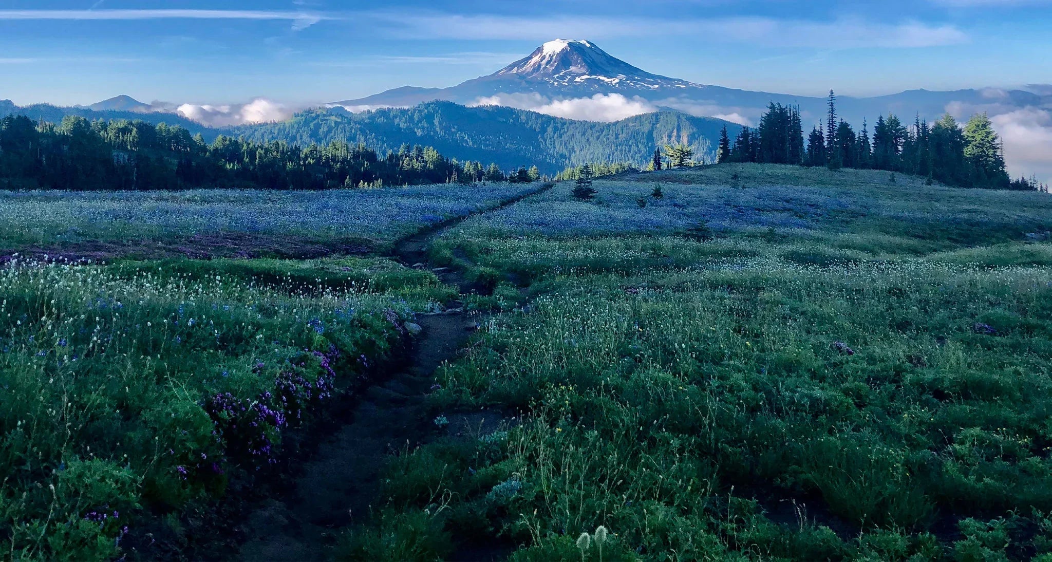 BIG QUESTIONS. SOLID ANSWER FROM THE PACIFIC CREST TRAIL