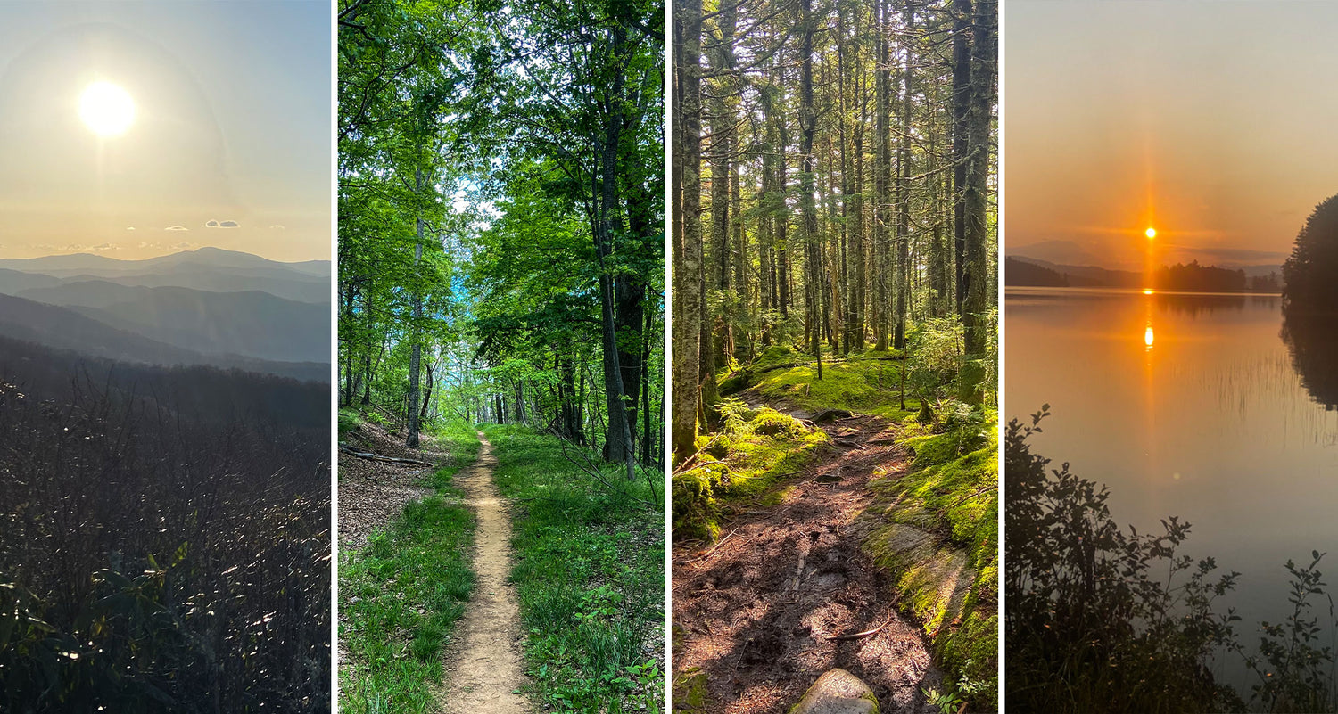 An Appalachian Trail Experience in Four Parts: Max Kiel Gets into the Best Section Hikes