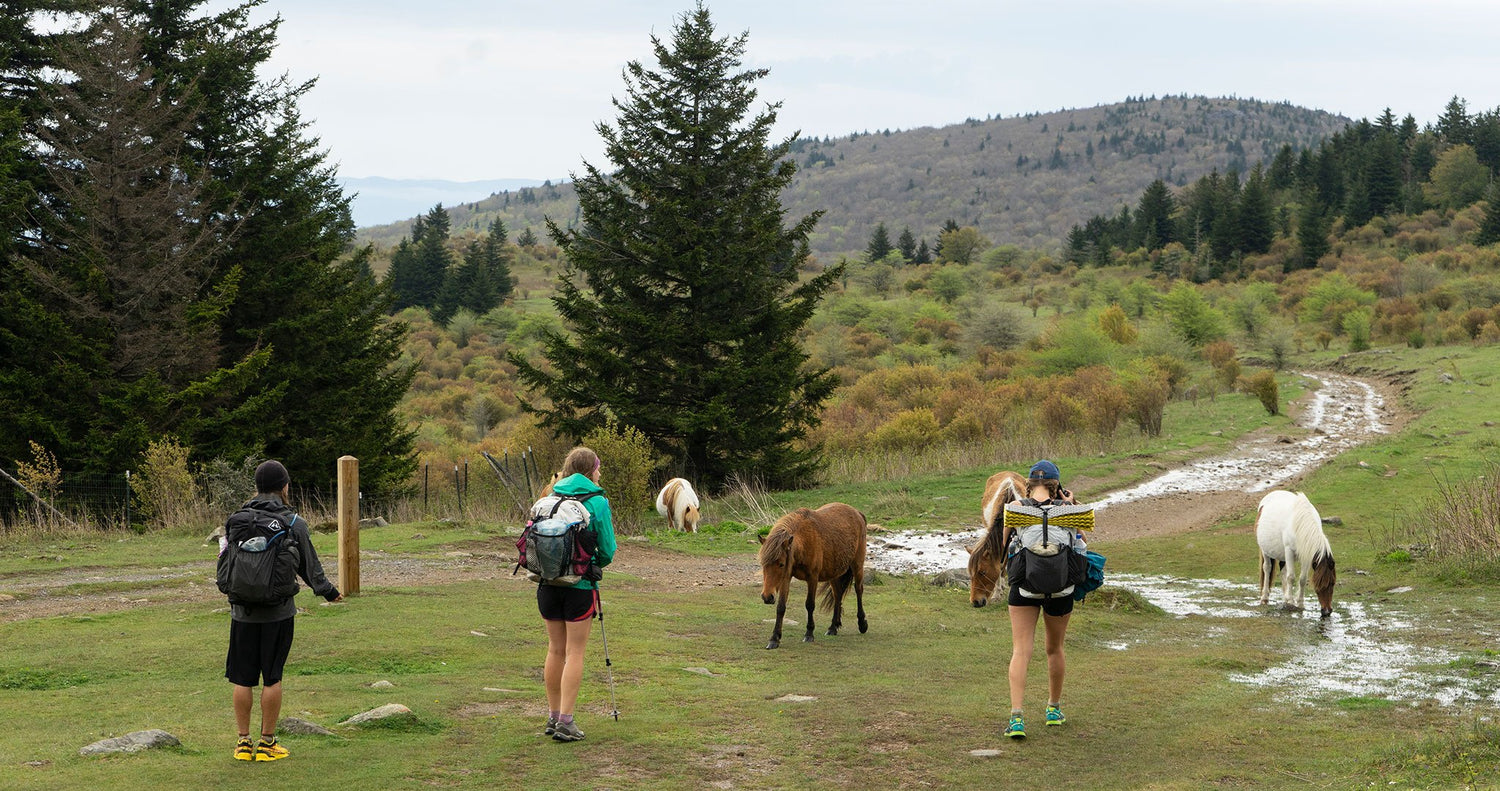 Appalachian Trail Hiking Clothing: 5 Essential Items