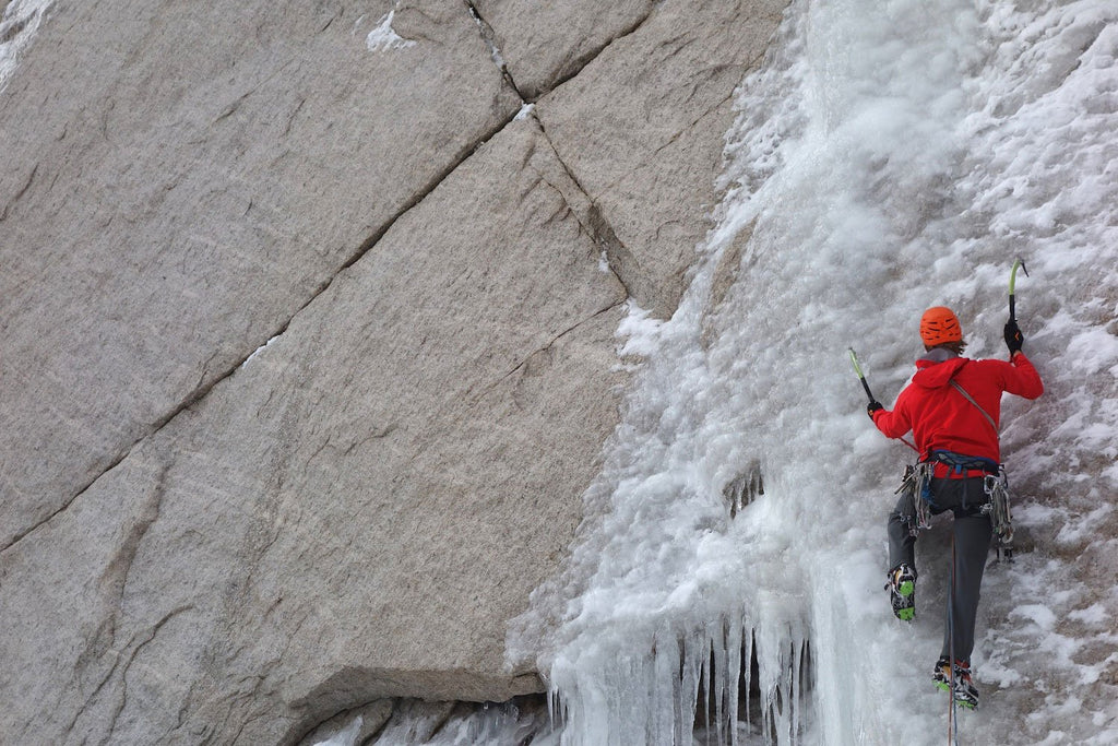 climbing gear  Alpine Tree Care