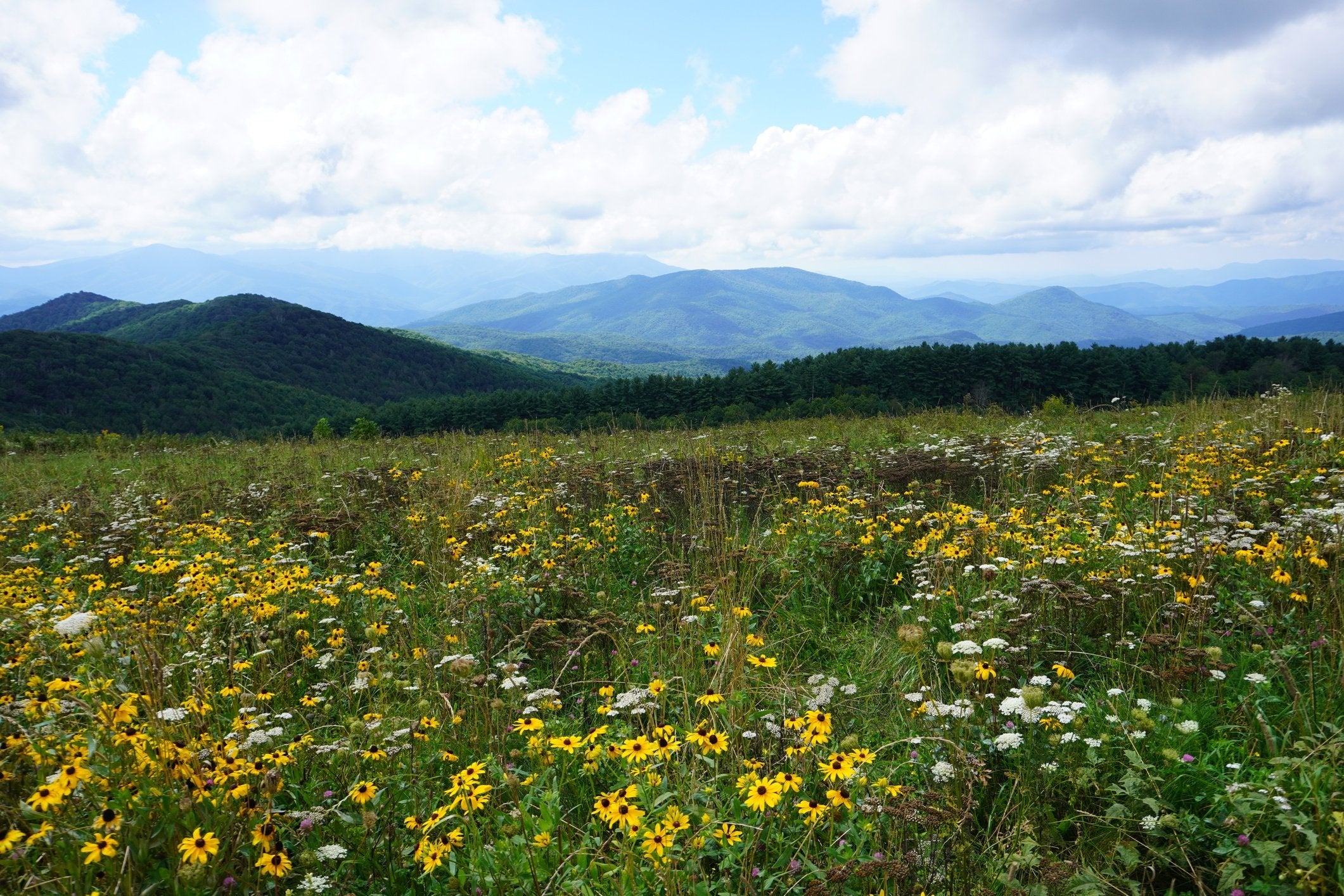 NEW TRAIL, NEW BETA! THE APPALACHIAN HIGH ROUTE, SECTION BY SECTION