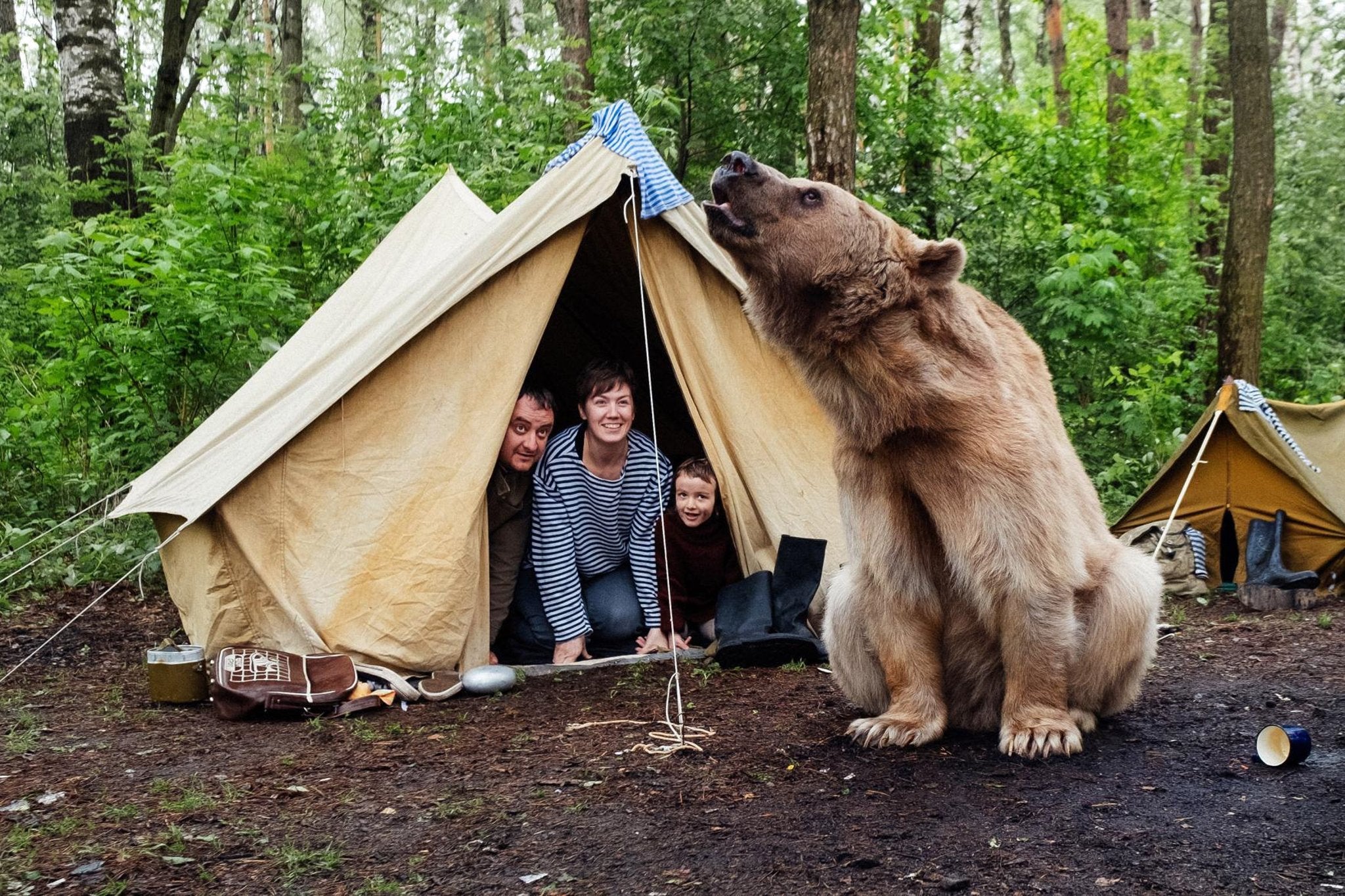 GET SMARTER THAN THE AV-ER-AGE BEAR! HOW DO YOU PROTECT YOUR FOOD OUT THERE?