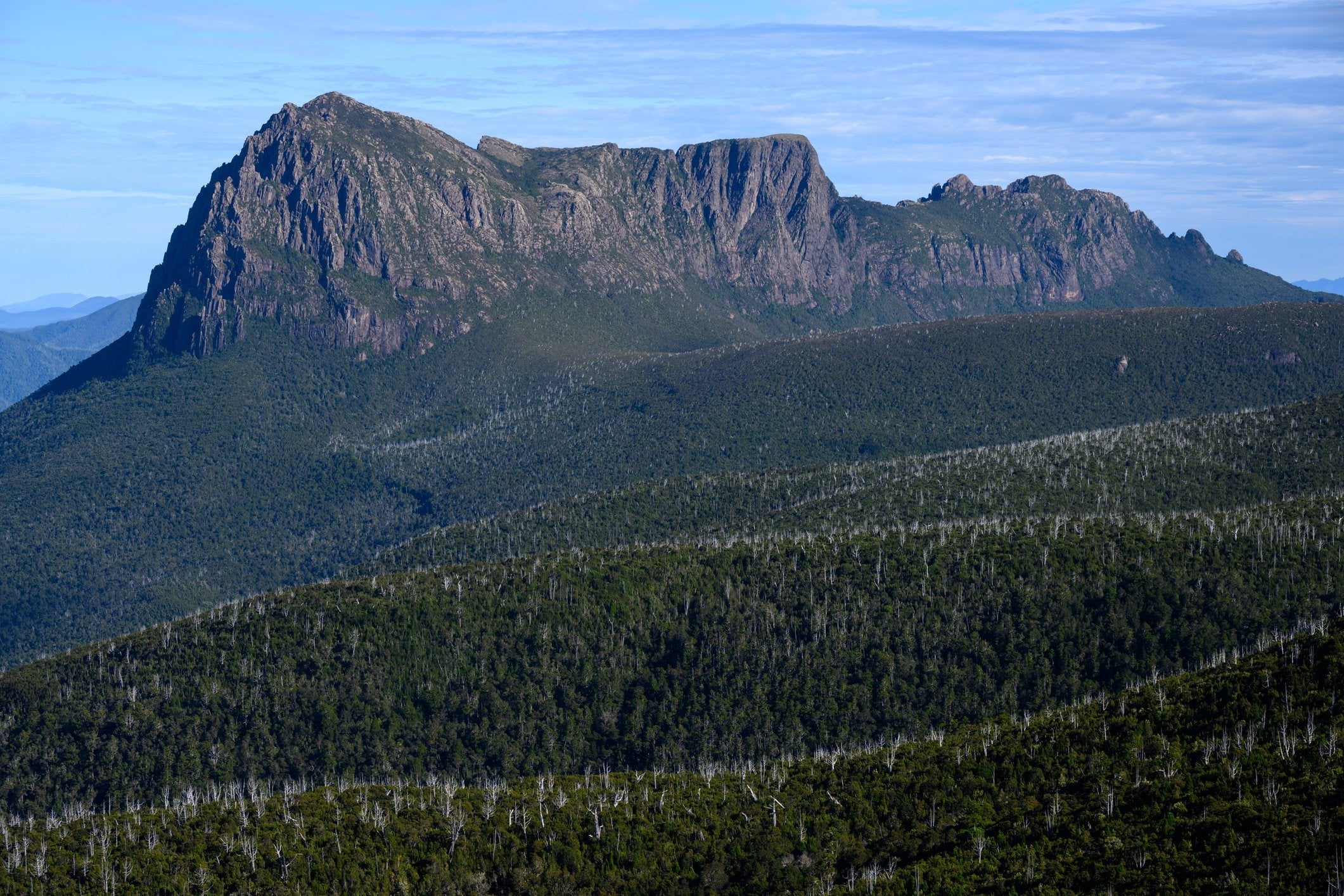 PASSAGE GRANTED: HIKING PRECIPITOUS BLUFF IN TASMANIA WITH SHAUN MITTWOLLEN