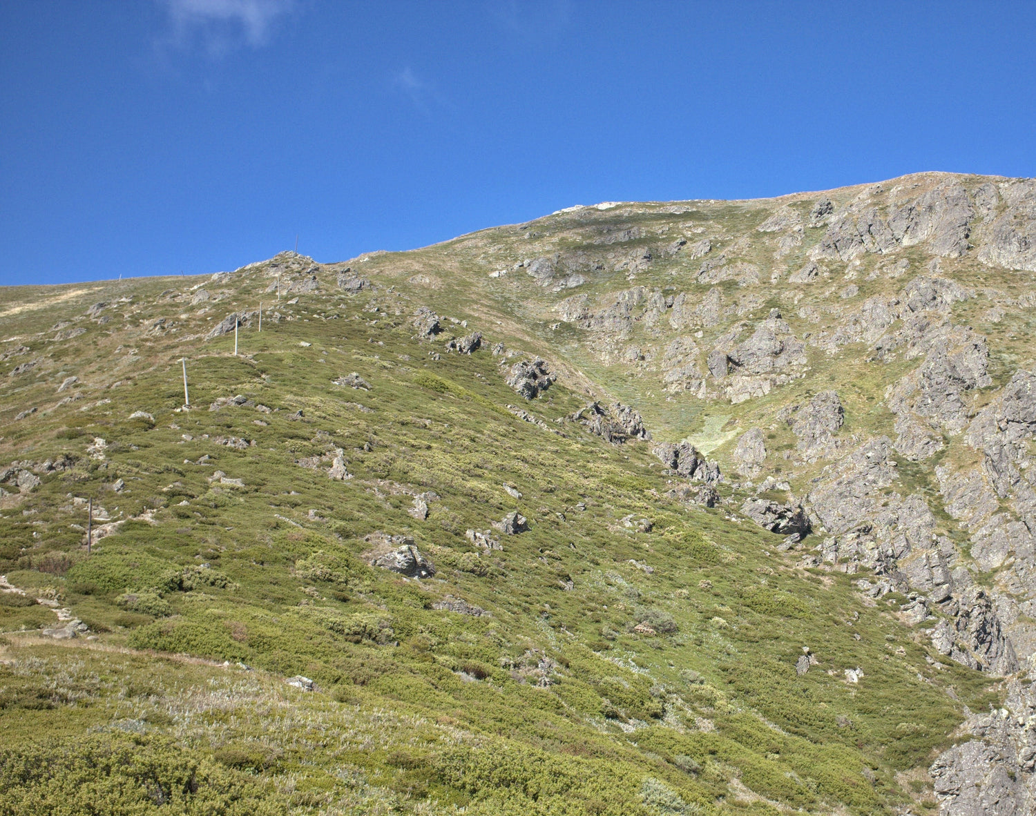 WHY DOES AUSTRALIA HATE SWITCHBACKS SO MUCH?! A Friendly Introduction to Backpacking Down Under