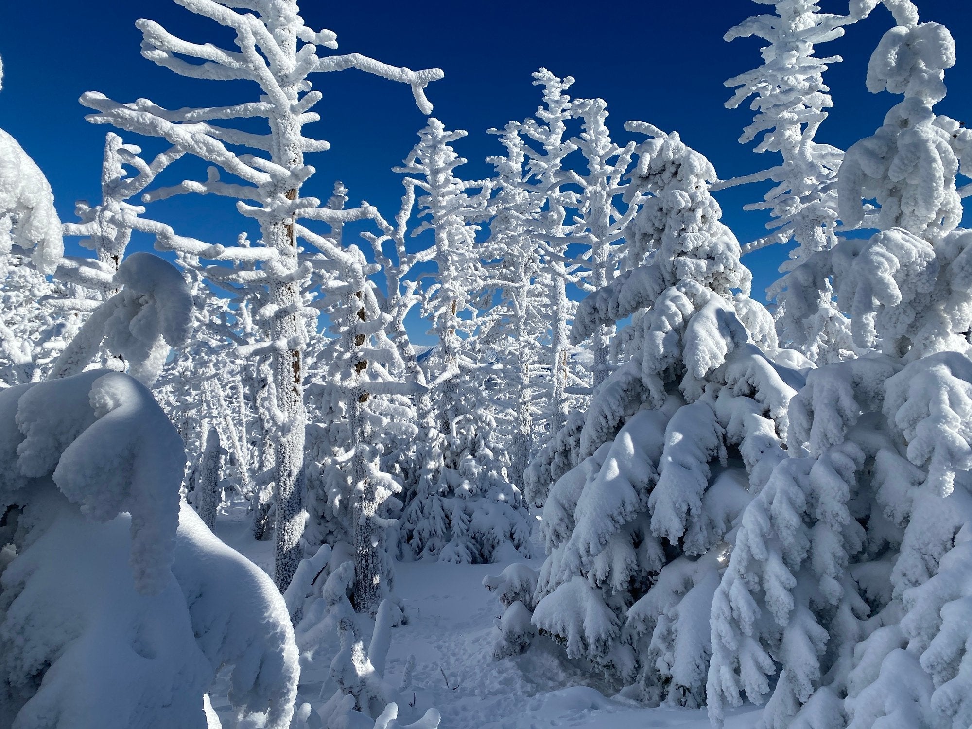 STEPS TO STAY SAFE ON WINTER BACKPACKING TRIPS