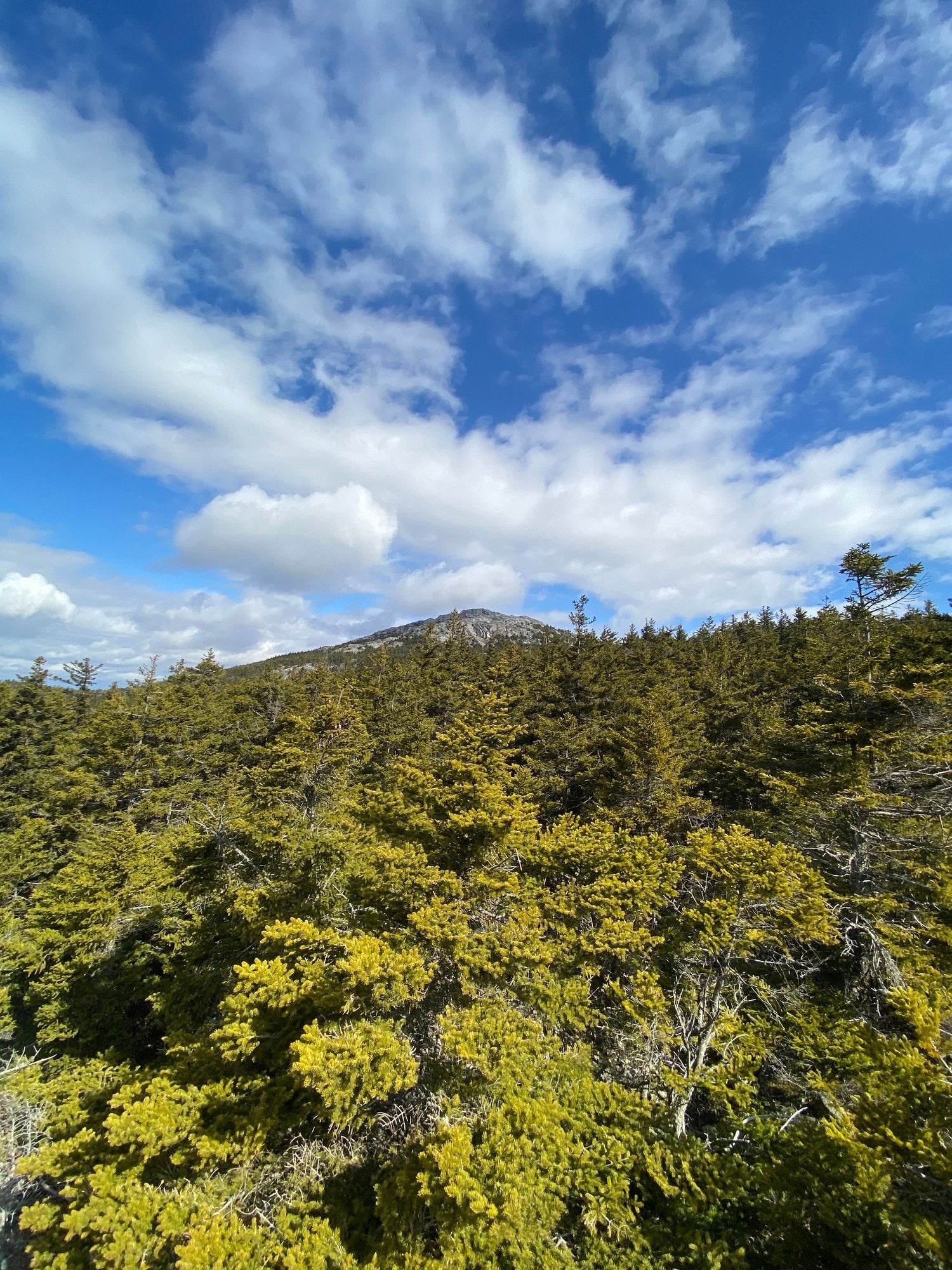 A PATH WELL TRAVELLED (WITH SECRETS). MOUNT MONADNOCK IN NEW HAMPSHIRE