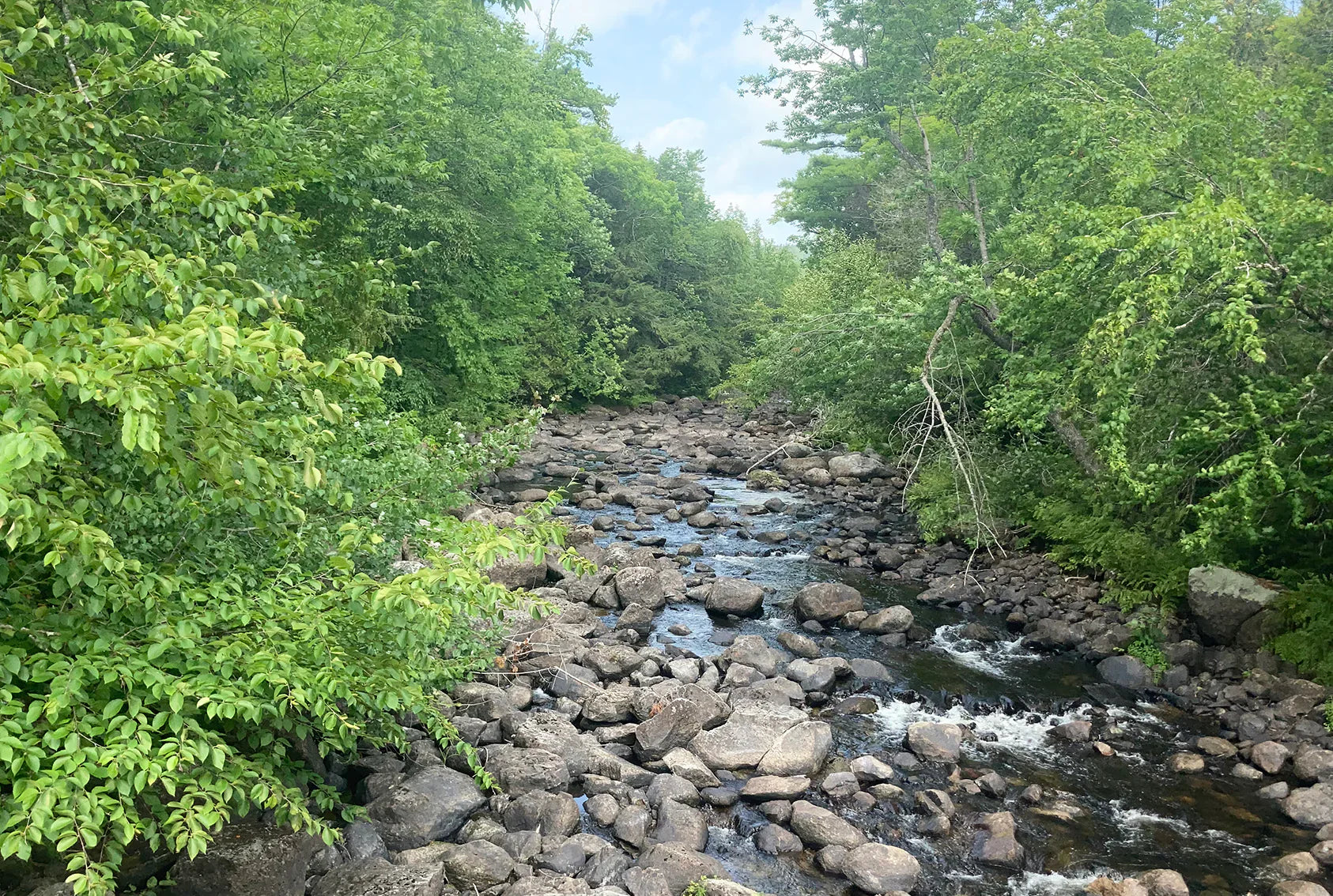 ONE HUNDRED DIVIDED BY EIGHT: DEEDRA ZEEH IN THE APPALACHIAN TRAIL'S 100-MILE WILDERNESS