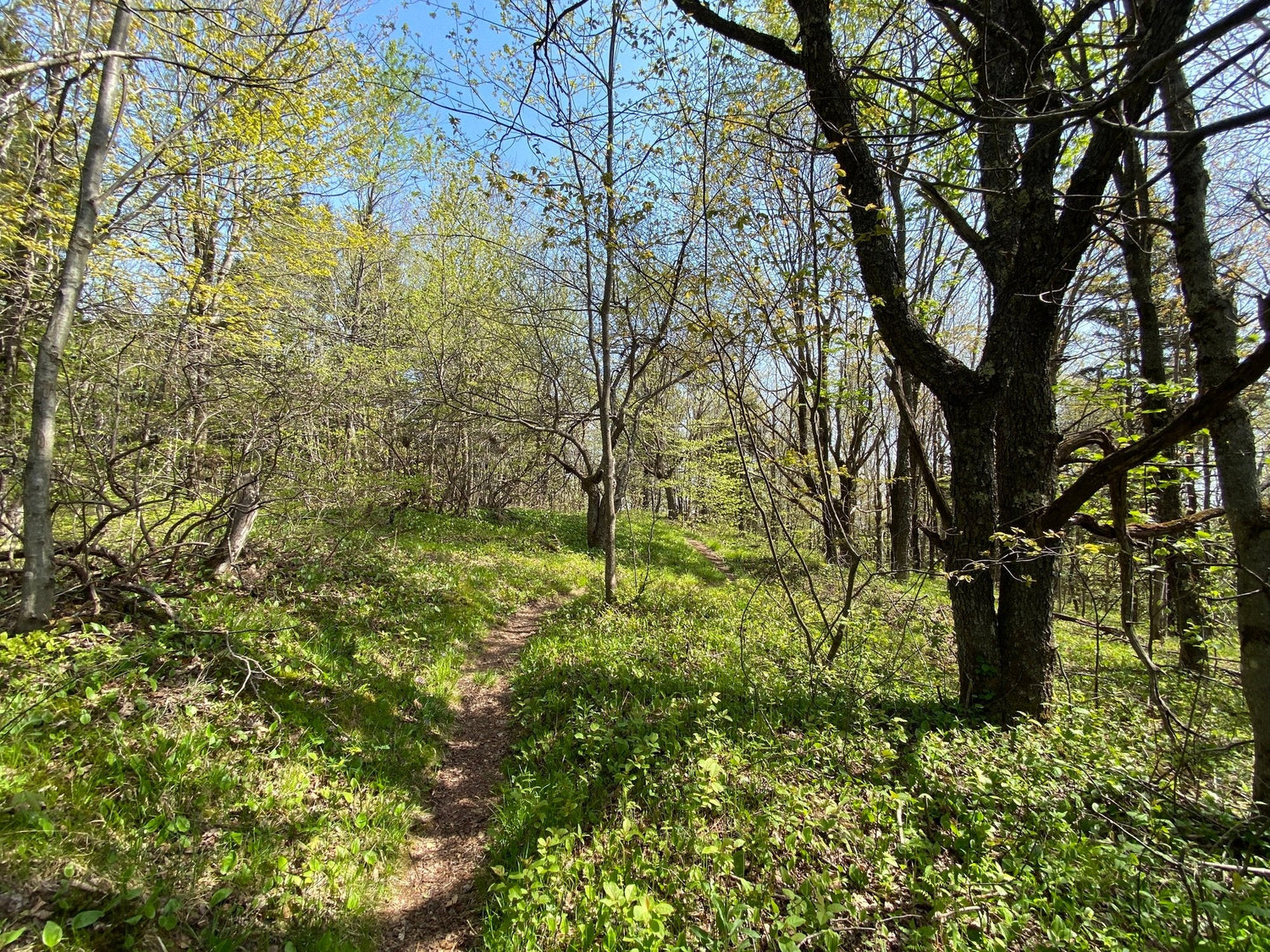 The Backpacking Trip You Need to Add to Your Bucketlist: The Monadnock-Sunapee Greenway