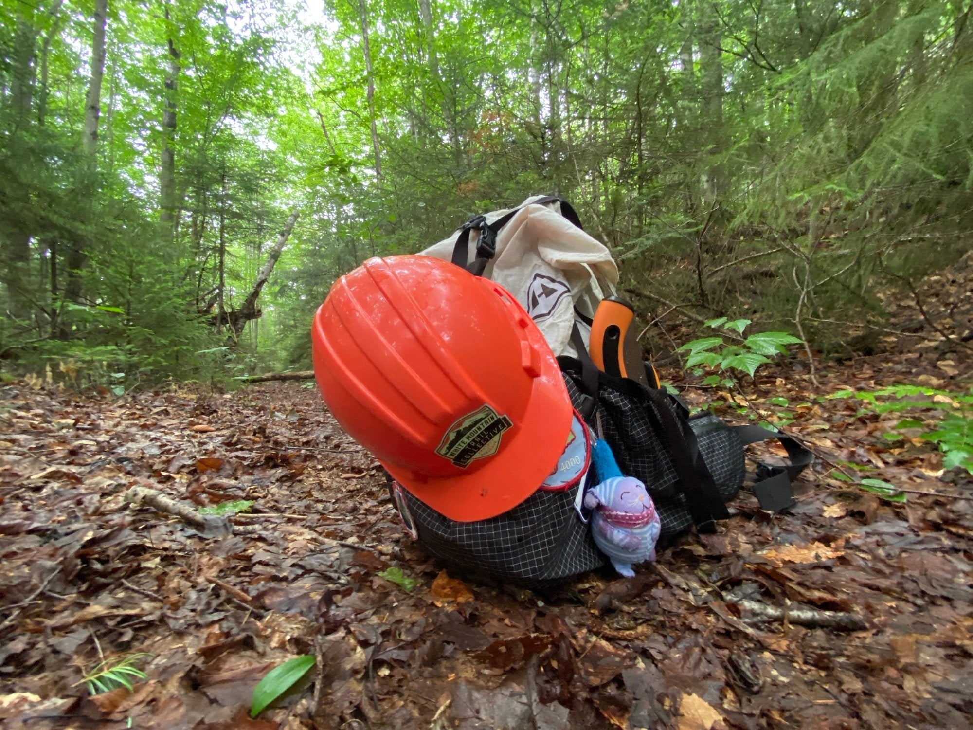 NATIONAL TRAILS DAY IS EVERYDAY! REBECCA SPERRY GETS YOU READY TO DIG IN