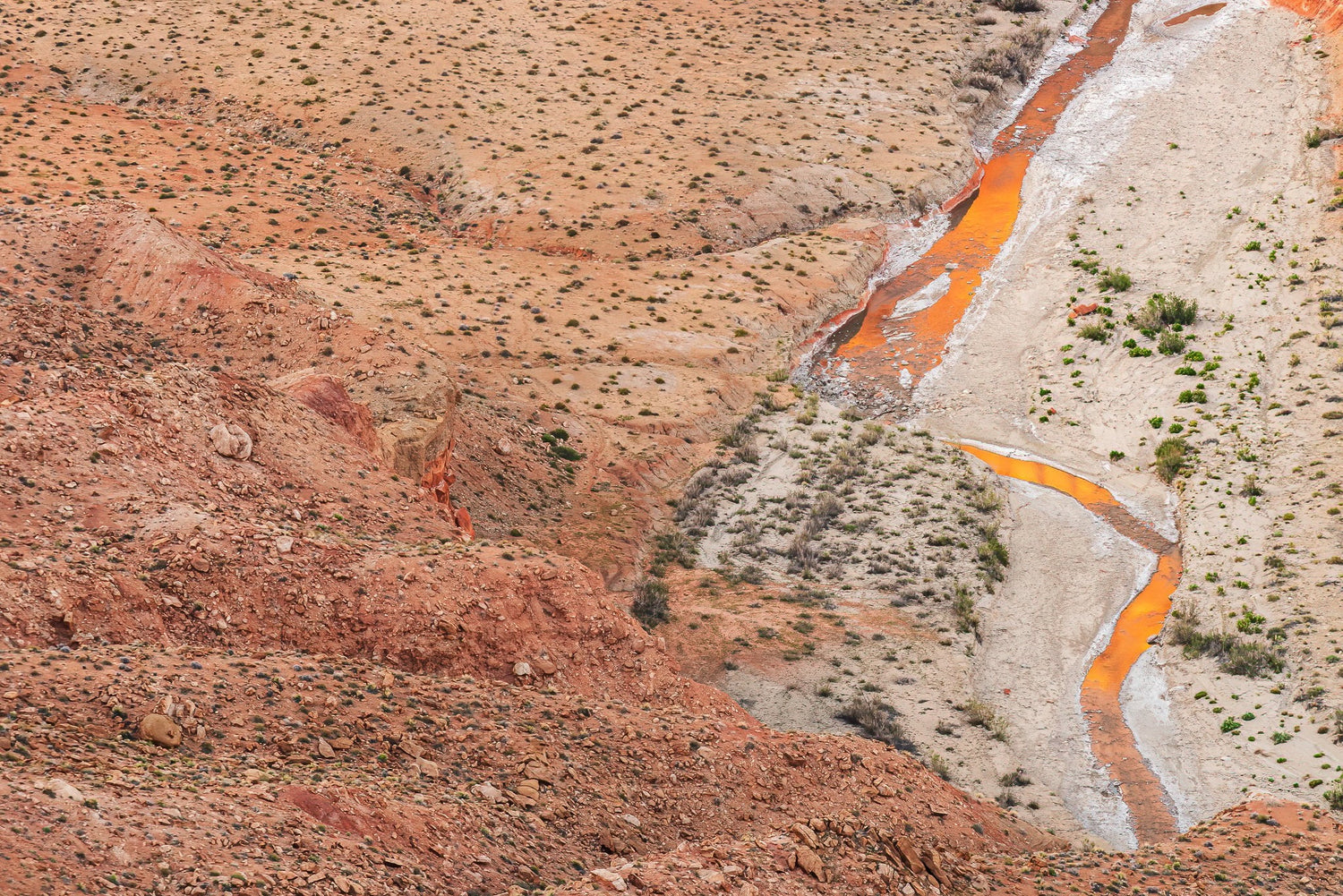 Upper Muley Twist Canyon - Capitol Reef National Park, Utah, United States